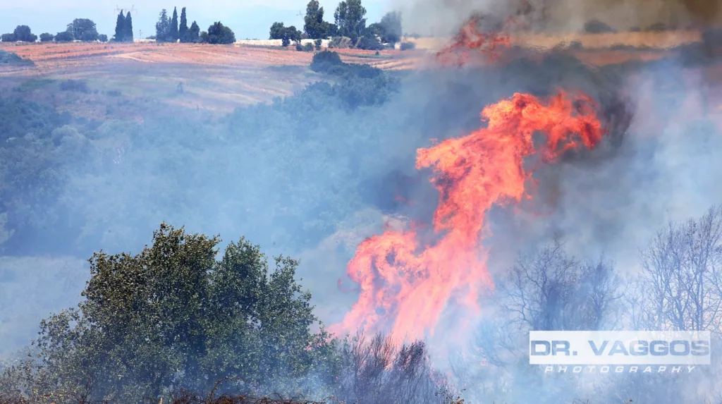 Λεχαινά: Υπό έλεγχο η φωτιά στην περιοχή Μέλισσα, μάχη με τις φλόγες σε ξηρά και αέρα, ΦΩΤΟ, ΒΙΝΤΕΟ