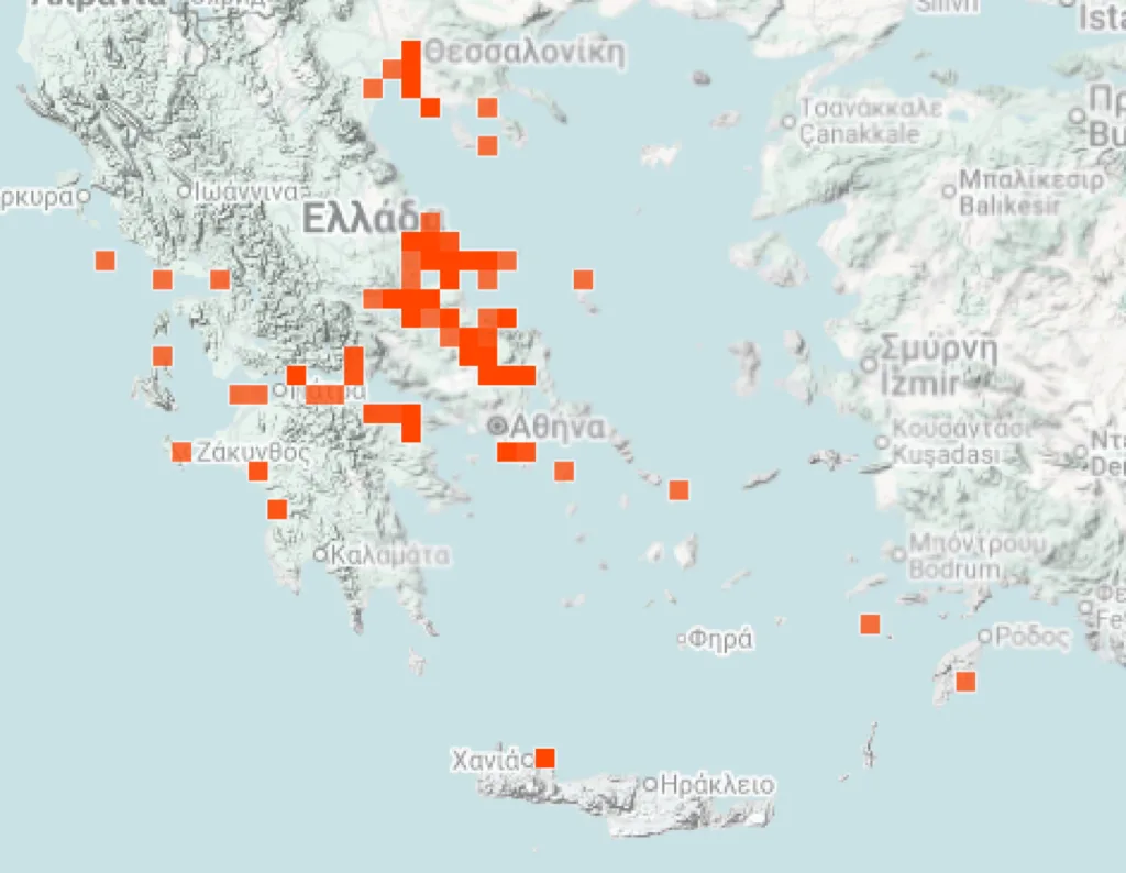 Δείτε live που βρίσκονται οι μωβ μέδουσες για να μην πάτε! ΧΑΡΤΕΣ, ΦΩΤΟ