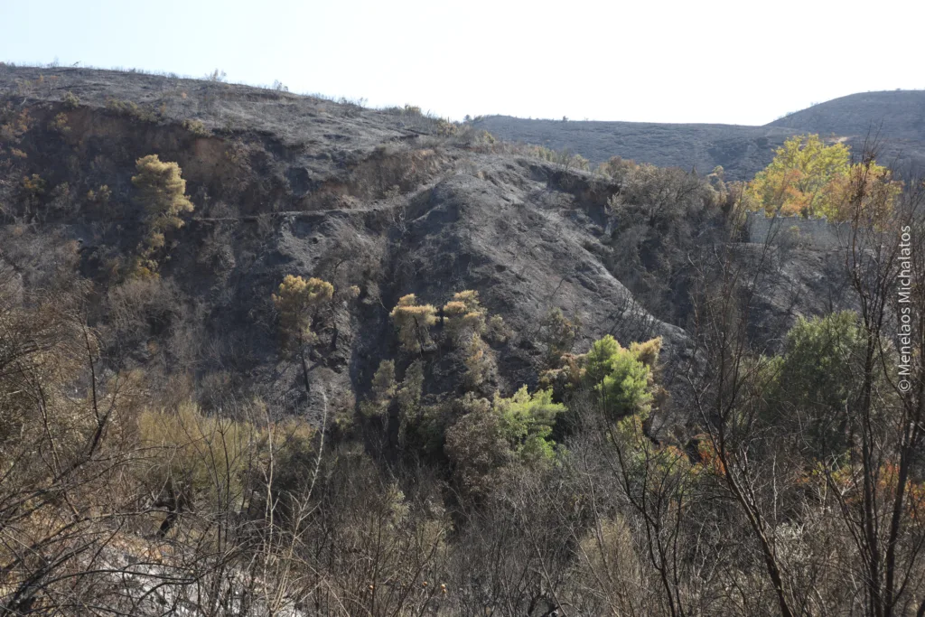 Πάτρα: Η επόμενη ημέρα σε Συχαινά, Βούντενη και Μπάλα - Θυμός, ερωτηματικά, αλλά και ελπίδα