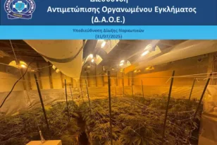 Είχε μετατρέψει το σπίτι του σε εργαστήριο-φυτώριο δενδρυλλίων κάνναβης, πλήρως εξοπλισμένο, με τεχνητό φωτισμό