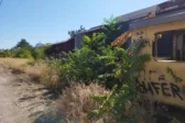 Η μίνι «ζούγκλα» στον ΟΣΕ