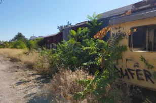 Η μίνι «ζούγκλα» στον ΟΣΕ