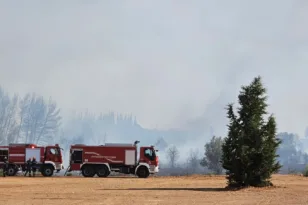 Φωτιά στην Παιανία: οριοθετήθηκε η πυρκαγιά κοντά στην Αττική Οδό
