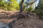 Δασύλλιο Πάτρας: Το δά-SOS που δεν ακούμε - Αυτοψία-προειδοποίηση της «Π» ΦΩΤΟ