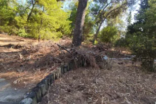Δασύλλιο Πάτρας: Το δά-SOS που δεν ακούμε  – Αυτοψία-προειδοποίηση της «Π» ΦΩΤΟ