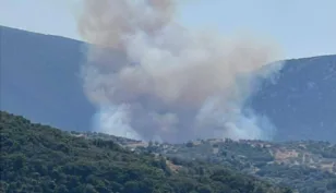 Αργολίδα: Φωτιά τώρα σε δάσος στην Πελεή - Σηκώθηκαν 7 εναέρια