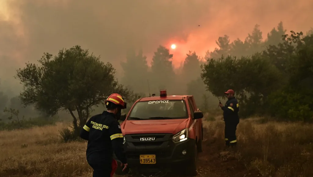 Φωτιά στην Κερατέα: Καίγονται σπίτια, απεγκλωβισμοί κατοίκων, πολλαπλά μηνύματα για εκκενώσεις από το 112 ΝΕΟΤΕΡΑ