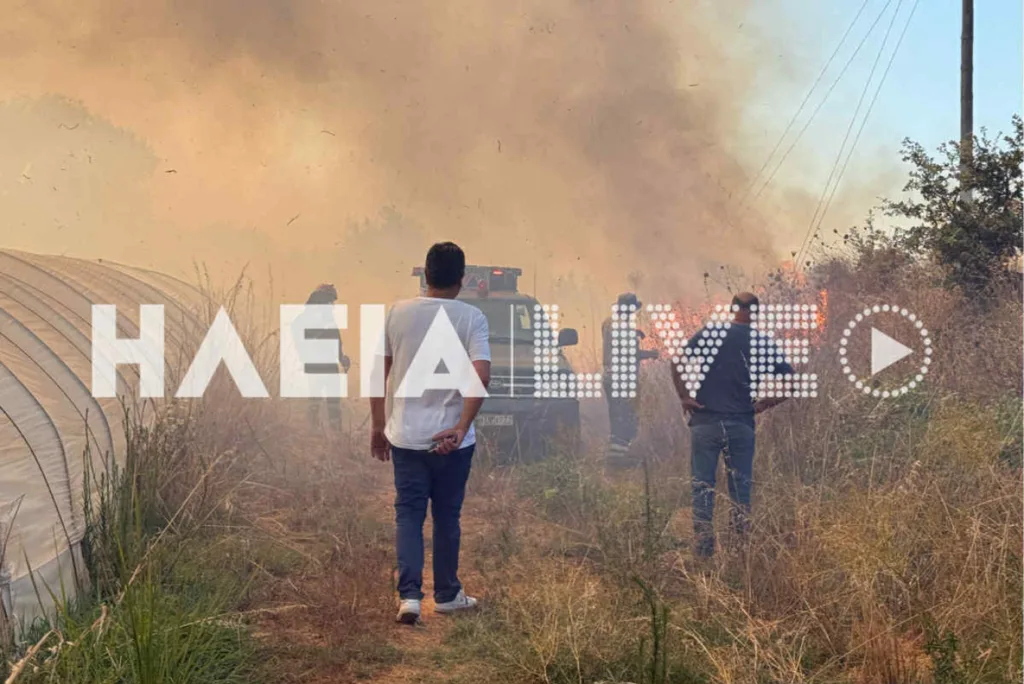 Ηλεία: Ανεξέλεγκτη η μεγάλη φωτιά στα Λεχαινά, ήχησε το 112, ενισχύθηκαν οι πυροσβεστικές δυνάμεις ΝΕΟΤΕΡΑ - ΦΩΤΟ