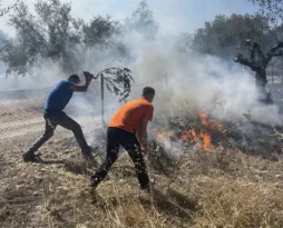 Πάτρα - Φωτιά στο Σαραβάλι: Οριοθετήθηκε η πυρκαγιά ΦΩΤΟ