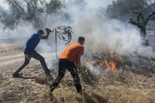 Πάτρα – Φωτιά στο Σαραβάλι: Κινούνται προς Δεμένικα οι φλόγες ΦΩΤΟ