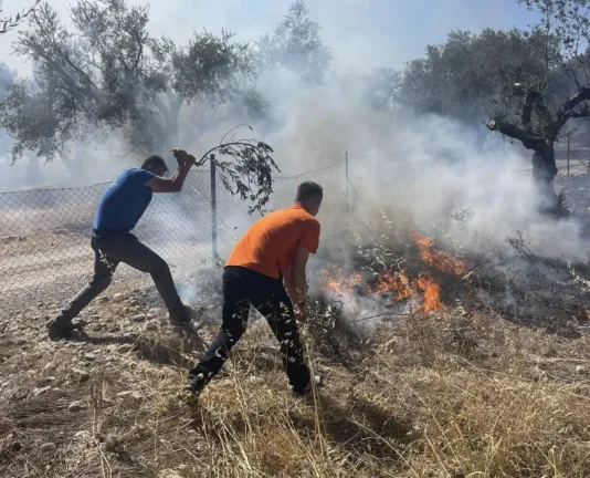 Πάτρα - Φωτιά στο Σαραβάλι: Οριοθετήθηκε η πυρκαγιά ΦΩΤΟ