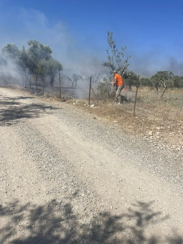 Πάτρα - Φωτιά στο Σαραβάλι: Οριοθετήθηκε η πυρκαγιά ΦΩΤΟ