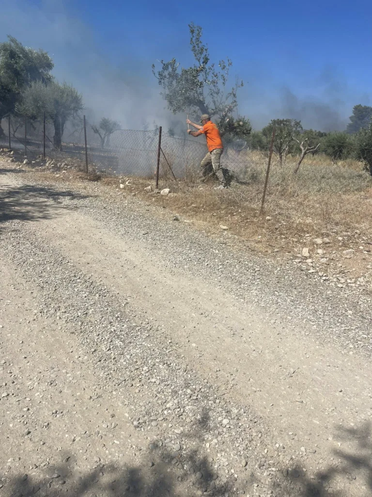 Πάτρα - Φωτιά στο Σαραβάλι: Οριοθετήθηκε η πυρκαγιά ΦΩΤΟ