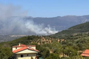 Φωτιά στη Μεσσηνία: Σηκώθηκαν και εναέρια για την πυρκαγιά στον Μελιγαλά