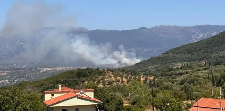 Φωτιά στη Μεσσηνία: Σηκώθηκαν και εναέρια για την πυρκαγιά στον Μελιγαλά Φωτιά στη Μεσσηνία: Σηκώθηκαν και εναέρια για την πυρκαγιά στον Μελιγαλά