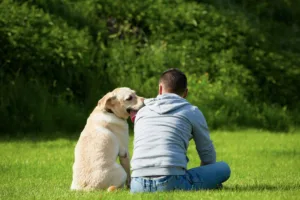 Τι συμβαίνει και ο σκύλος σας ζητάει συνεχώς χάδια; Τι είναι αυτό που προσπαθεί να σας πει