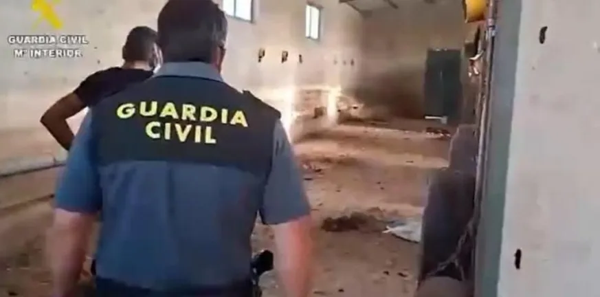 Ισπανία: Βρέθηκαν νεκρά 32 σκυλιά σε σάκους, έρευνα για κακοποίηση ζώων