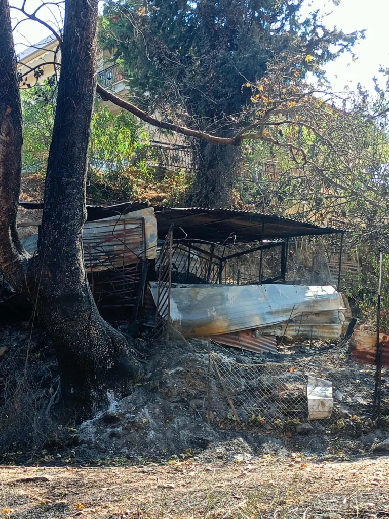 σπιράλ: Ώρα για απολογισμό και σχέδιο θωράκισης μετά τις φωτιές στην Πάτρα
