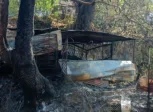 Φωτιές στην Αχαΐα: 47 αυτοψίες στις πληγείσες περιοχές – Στόχος οι αποζημιώσεις έως τα τέλη Αυγούστου