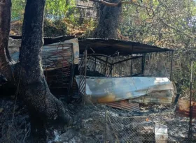 Φωτιές στην Αχαΐα: 47 αυτοψίες στις πληγείσες περιοχές – Στόχος οι αποζημιώσεις έως τα τέλη Αυγούστου