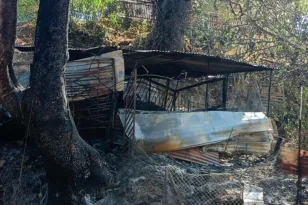 Φωτιές στην Αχαΐα: 47 αυτοψίες στις πληγείσες περιοχές – Στόχος οι αποζημιώσεις έως τα τέλη ΑυγούστουΣτόχος οι αποζημιώσεις πριν το τέλος Αυγούστου