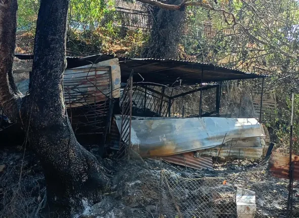 Φωτιές στην Αχαΐα: 47 αυτοψίες στις πληγείσες περιοχές – Στόχος οι αποζημιώσεις έως τα τέλη Αυγούστου