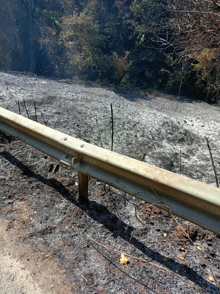 σπιράλ: Ώρα για απολογισμό και σχέδιο θωράκισης μετά τις φωτιές στην Πάτρα