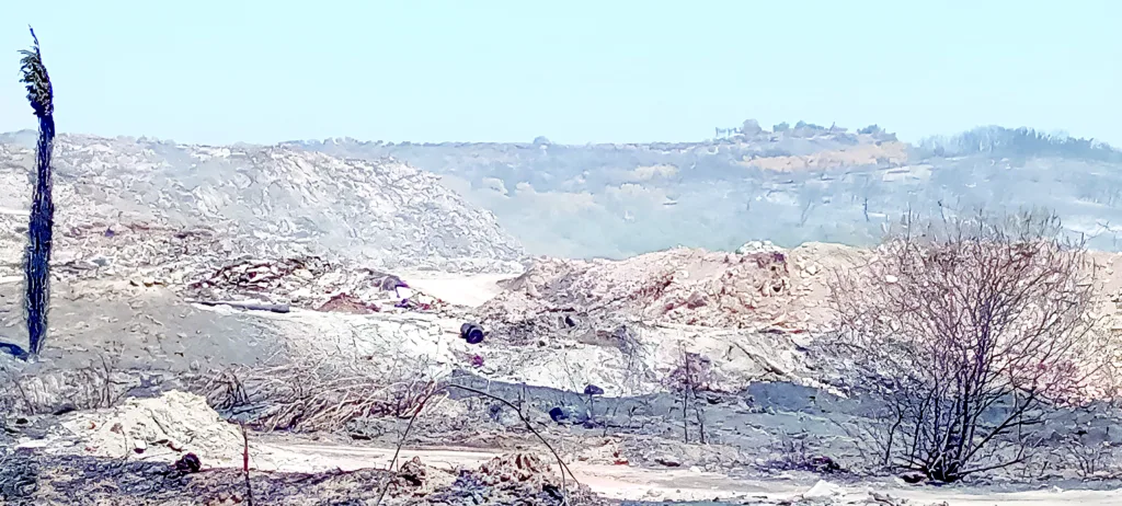 Η πυρκαγιά αποκάλυψε υγειονομική «βόμβα» στο Θεριανό Αχαΐας: «Μυρίζει παντού καμένο πλαστικό» Η πυρκαγιά αποκάλυψε υγειονομική «βόμβα» στο Θεριανό Αχαΐας: «Μυρίζει παντού καμένο πλαστικό»