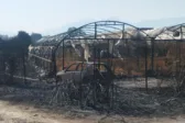 Κραυγή αγωνίας για τις πληγές, ο Αγροτικός Σύλλογος Δ. Αχαΐας ζητά μέτρα και άμεσες αποζημιώσεις