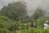 Πάτρα: Σοβαρό πρόβλημα με το νερό σε Βούντενη και Άνω Συχαινά