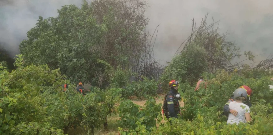 Πάτρα: Σοβαρό πρόβλημα με το νερό σε Βούντενη και Άνω Συχαινά Πάτρα: Σοβαρό πρόβλημα με το νερό σε Βούντενη και Άνω Συχαινά
