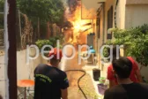 Τι μου έμαθε η φωτιά στην Πάτρα… ή μήπως στην Αχαΐα;