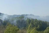 Φωτιά-εφιάλτης στην Ηλεία: Καμένα σπίτια και εκκενώσεις σε Ηράκλεια και Χελιδόνι