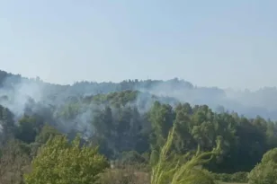 Φωτιά-εφιάλτης στην Ηλεία: Καμένα σπίτια και εκκενώσεις σε Ηράκλεια και Χελιδόνι