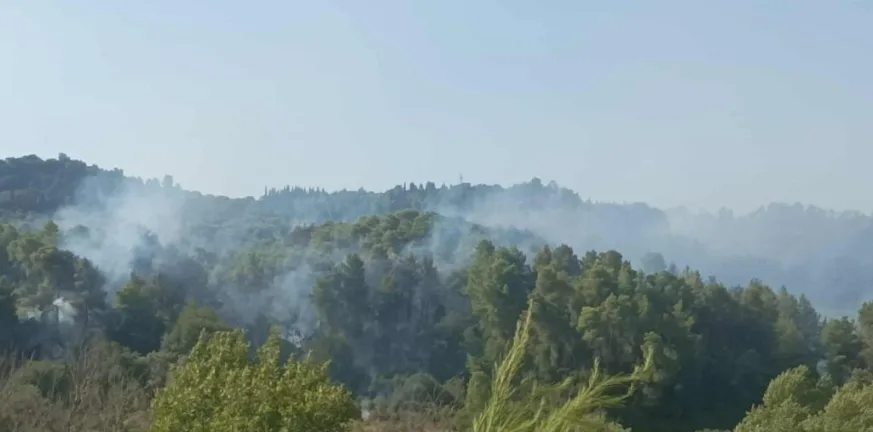 Φωτιά-εφιάλτης στην Ηλεία: Καμένα σπίτια και εκκενώσεις σε Ηράκλεια και Χελιδόνι