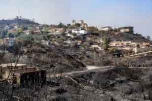 Φωτιές στη Χίο: Το 22% του νησιού έχει καεί από το 2016