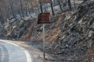Χίος: Πάνω από 69.000 στρέμματα καμένα σύμφωνα με το Αστεροσκοπείο Αθηνών