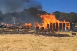 Θεσσαλονίκη - Φωτιά στον Χορτιάτη: Μία σύλληψη και βαρύ πρόστιμο 4.331 ευρώ