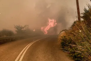 Χελιδόνι της Αρχαίας Ολυμπίας: Συγκλονιστικές εικόνες από τη μάχη με τις φλόγες, ΦΩΤΟ, ΒΙΝΤΕΟ
