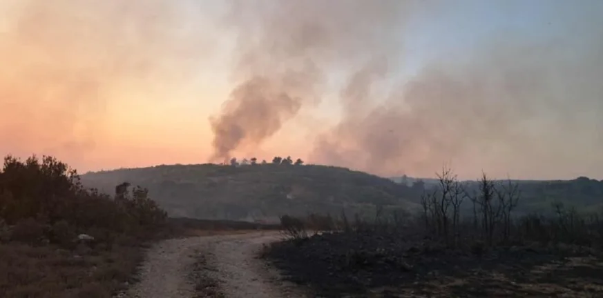 Ζάκυνθος: Σε κατάσταση έκτακτης ανάγκης Λαγανάς και Αρτεμίσιο μετά τις καταστροφικές πυρκαγιές