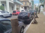 Πάτρα: Ιδιοκτήτης επιχείρησης έκοψε πέντε δέντρα στην Άνω Πόλη - Κατέθεσε μήνυση ο Δήμος