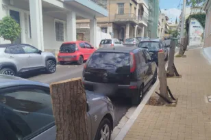 Πάτρα: Ιδιοκτήτης επιχείρησης έκοψε πέντε δέντρα στην Άνω Πόλη – Κατέθεσε μήνυση ο Δήμος