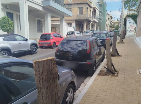 Πάτρα: Ιδιοκτήτης επιχείρησης έκοψε πέντε δέντρα στην Άνω Πόλη - Κατέθεσε μήνυση ο Δήμος