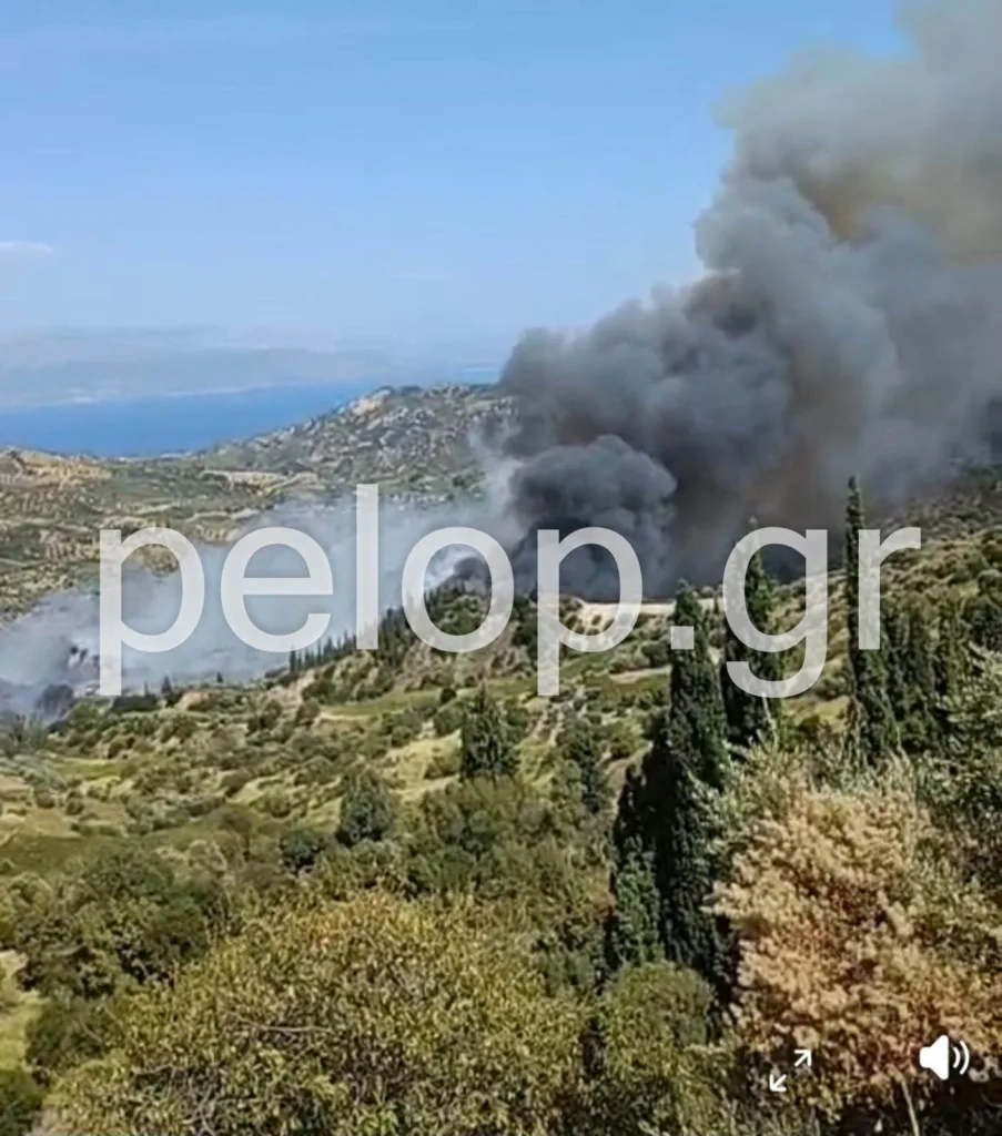 ΝΕΟΤΕΡΑ Αιγιάλεια: Ανεξέλεγκτη η πυρκαγιά στην περιοχή Άλσος, εκκένωση για Μερτίδι-Λάκκα, Τούμπα, επιχειρούν εναέρια- Ήχησε το 112 ΦΩΤΟ ΒΙΝΤΕΟ