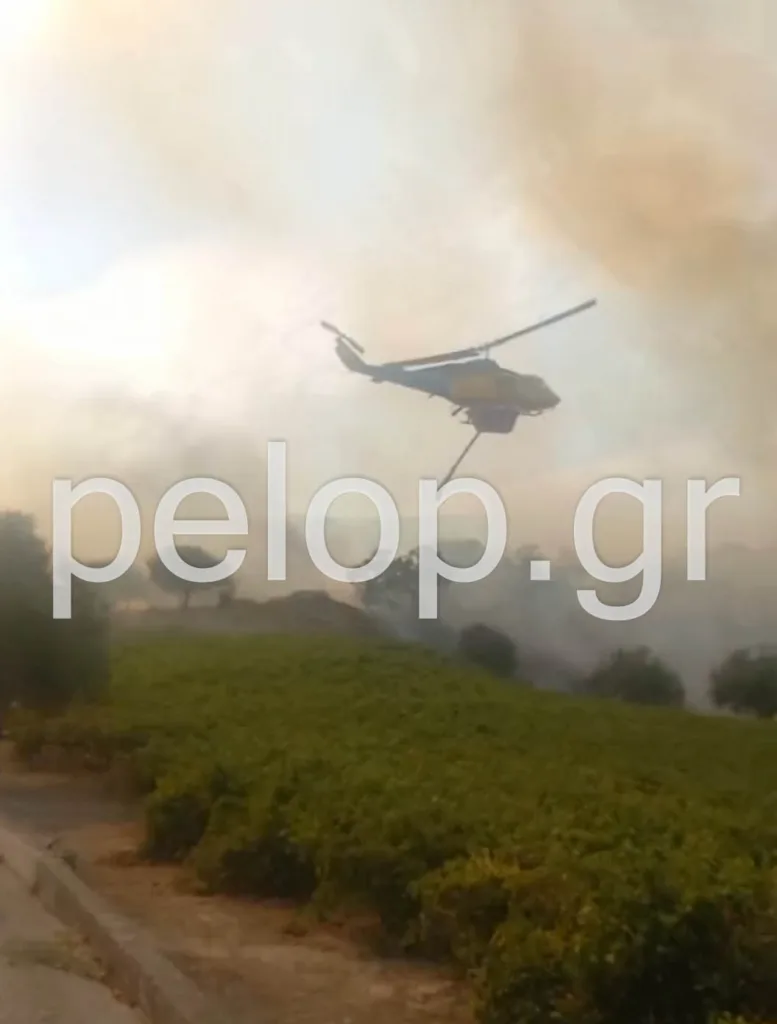 ΝΕΟΤΕΡΑ Αιγιάλεια: Ανεξέλεγκτη η πυρκαγιά στην περιοχή Άλσος, εκκένωση για Μερτίδι-Λάκκα, Τούμπα, επιχειρούν εναέρια- Ήχησε το 112 ΦΩΤΟ ΒΙΝΤΕΟ