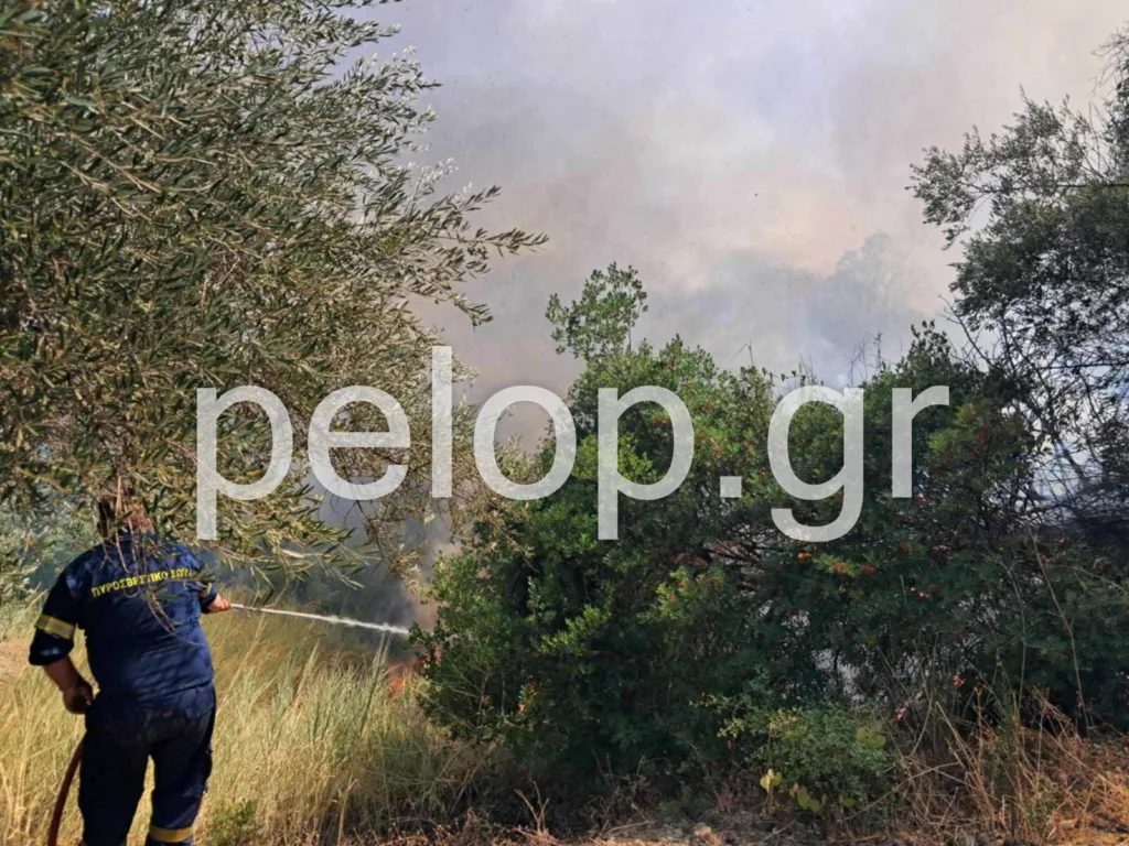 ΝΕΟΤΕΡΑ Αιγιάλεια: Ανεξέλεγκτη η πυρκαγιά στην περιοχή Άλσος, εκκένωση για Μερτίδι-Λάκκα, Τούμπα, επιχειρούν εναέρια- Ήχησε το 112 ΦΩΤΟ ΒΙΝΤΕΟ