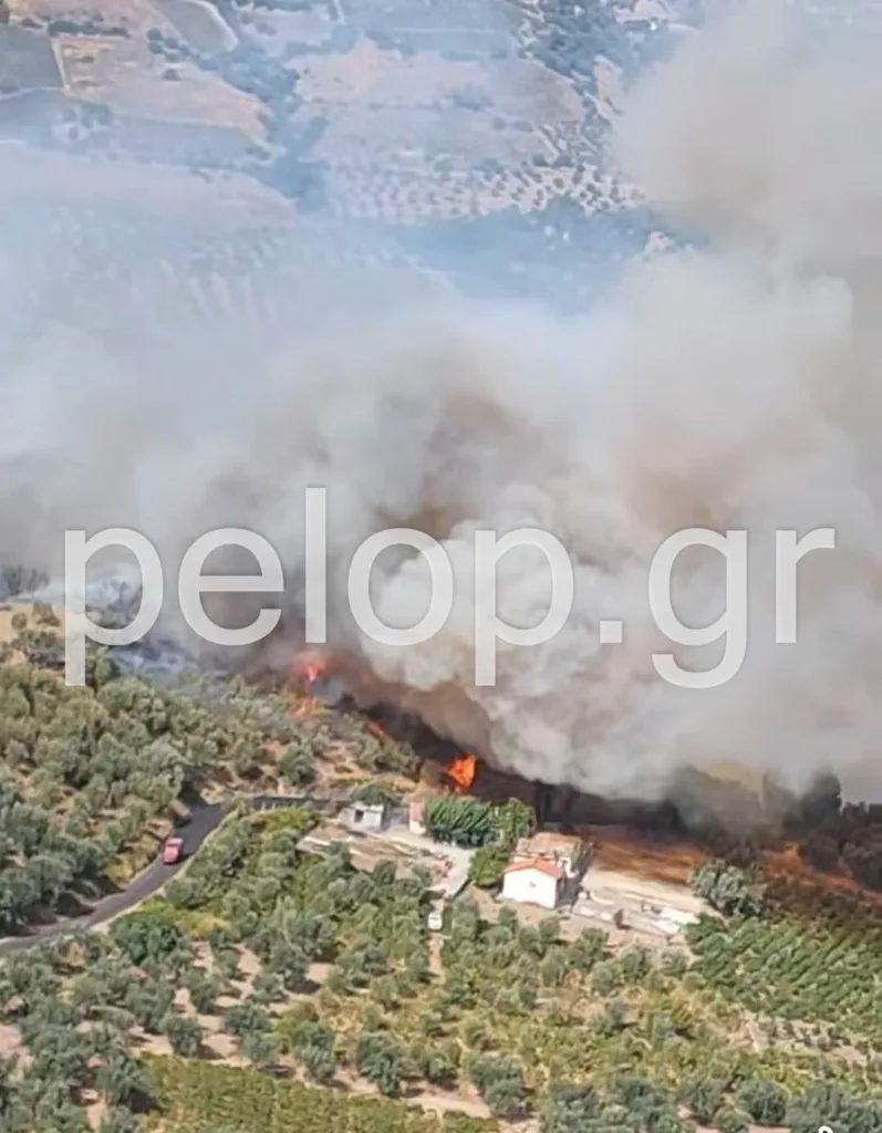 ΝΕΟΤΕΡΑ Αιγιάλεια: Ανεξέλεγκτη η πυρκαγιά στην περιοχή Άλσος, εκκένωση για Μερτίδι-Λάκκα, Τούμπα, επιχειρούν εναέρια- Ήχησε το 112 ΦΩΤΟ ΒΙΝΤΕΟ