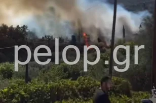 Πυρκαγιά στην Αιγιάλεια: «Καλύτερη η εικόνα, συνεχίζεται η κατάσβεση» ΦΩΤΟ,ΒΙΝΤΕΟ