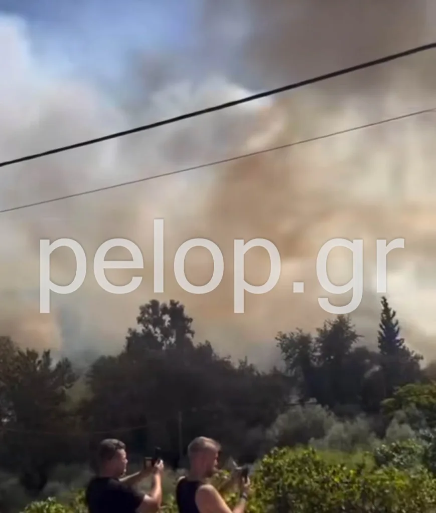 ΝΕΟΤΕΡΗ ΕΝΗΜΕΡΩΣΗ: Ενίσχυση των δυνάμεων για την πυρκαγιά στην Αιγιάλεια, 120 πυροσβέστες! ΦΩΤΟ, ΒΙΝΤΕΟ