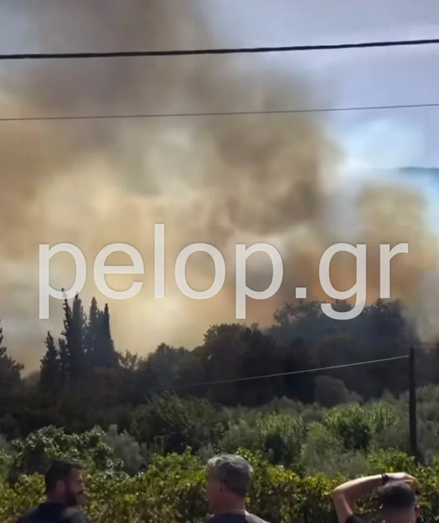 ΝΕΟΤΕΡΗ ΕΝΗΜΕΡΩΣΗ: Ενίσχυση των δυνάμεων για την πυρκαγιά στην Αιγιάλεια, 120 πυροσβέστες! ΦΩΤΟ, ΒΙΝΤΕΟ